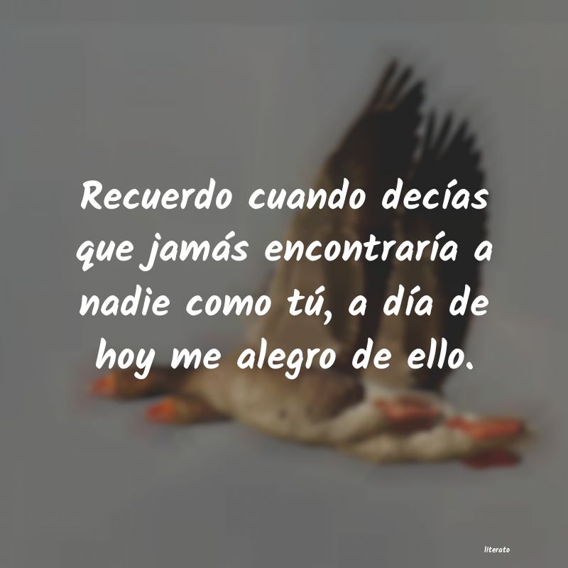 frases