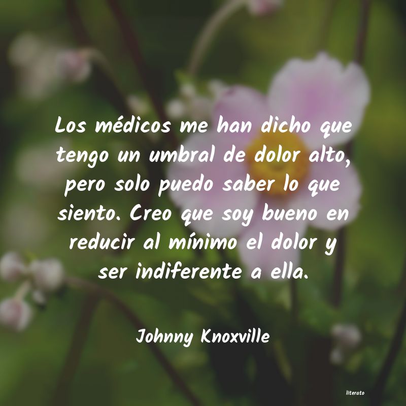 Frases de Johnny Knoxville