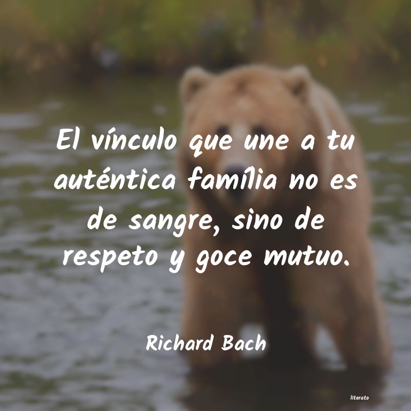 Frases de Richard Bach