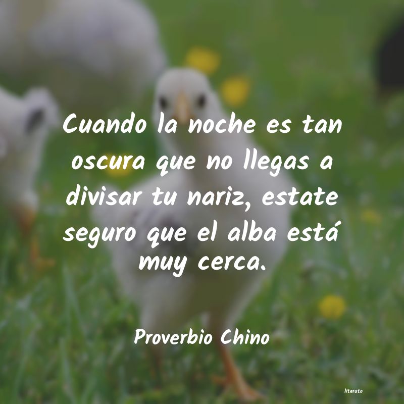 Frases de Proverbio Chino