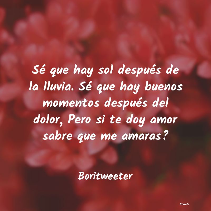 Frases de Boritweeter