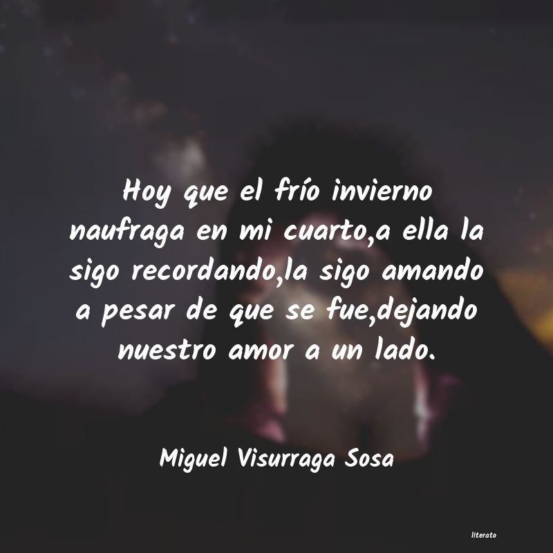 frases de Miguel Visurraga Sosa