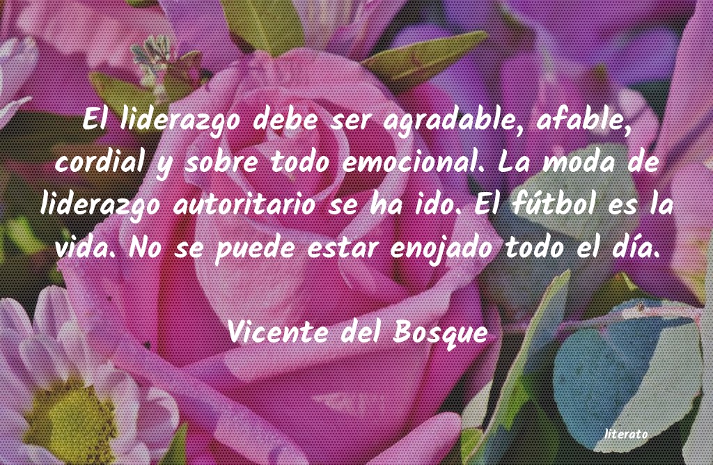 Frases de Vicente del Bosque