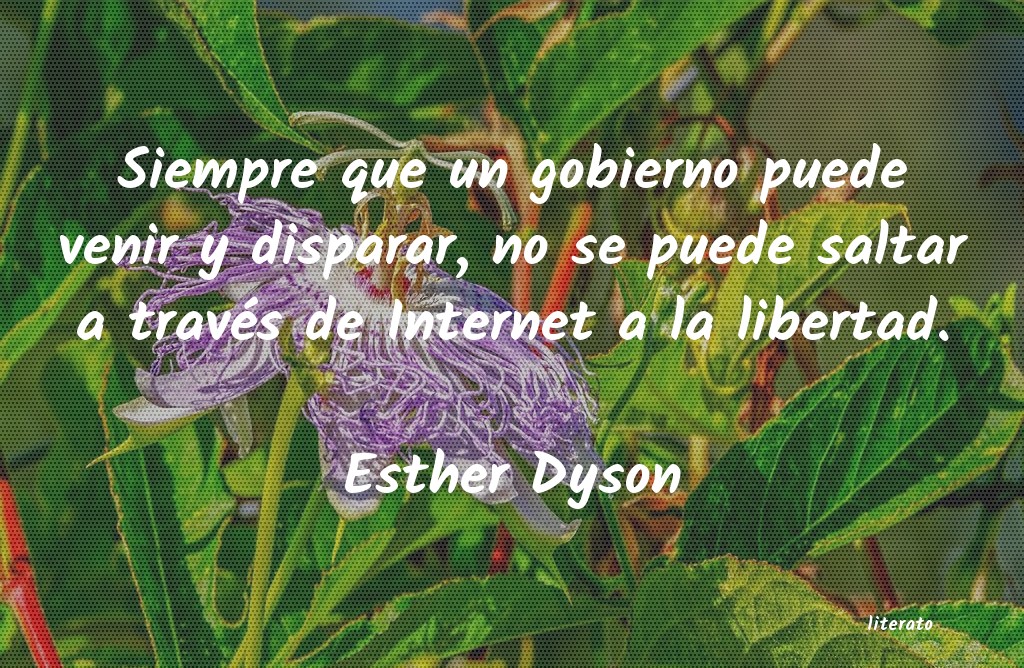 Frases de Esther Dyson