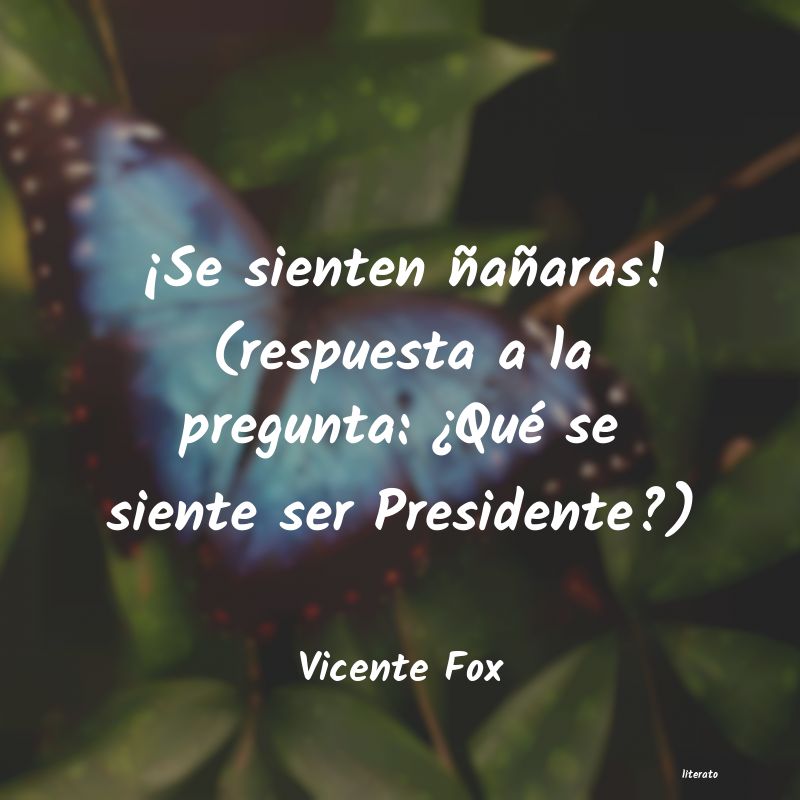 Frases de Vicente Fox