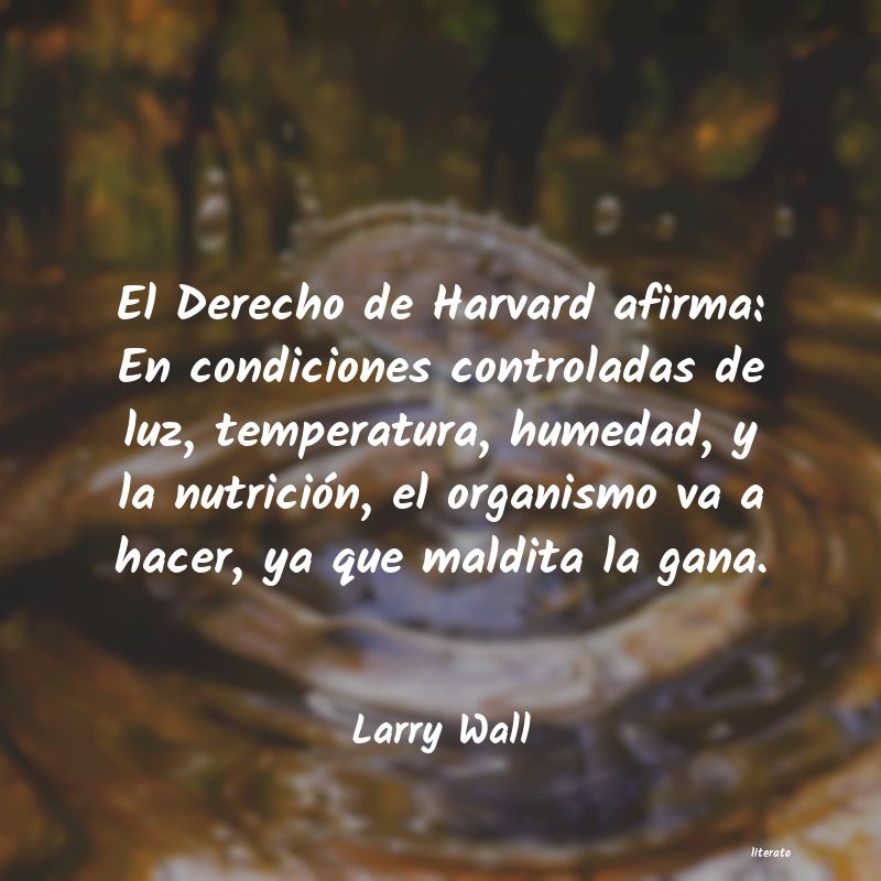 frases de Larry Wall