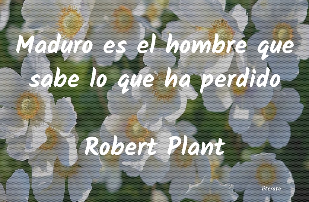 Frases de Robert Plant