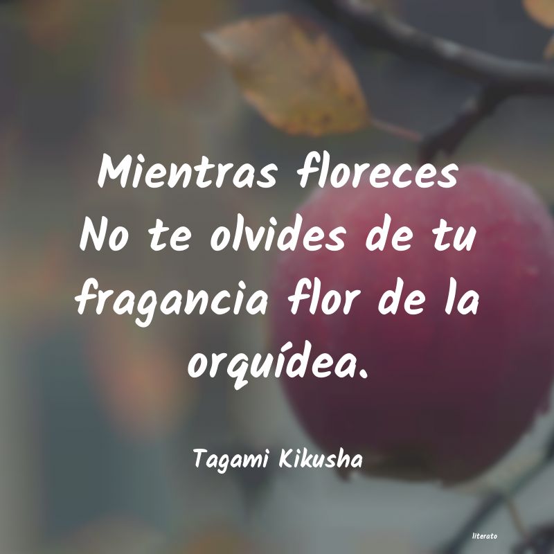 frases de Tagami Kikusha