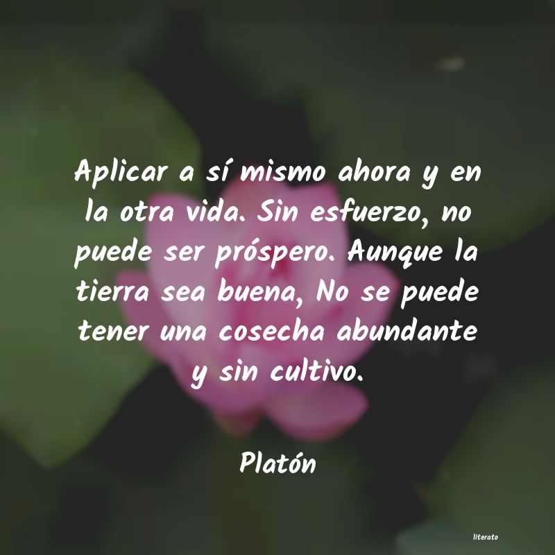 Frases de Platón