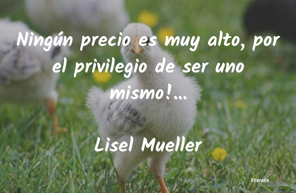 Frases de Lisel Mueller