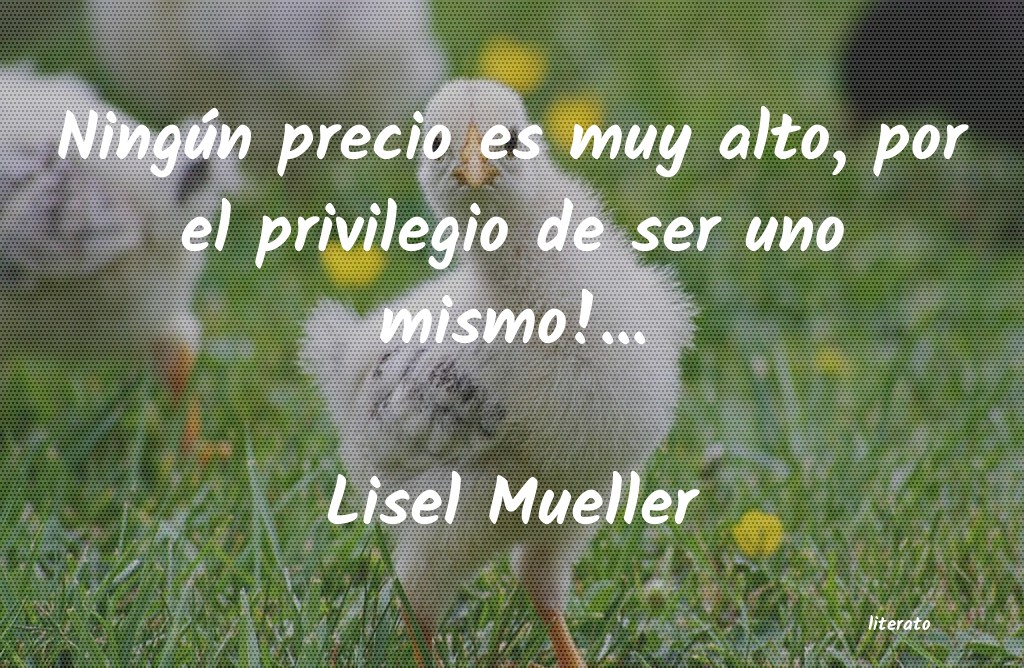 frases de Lisel Mueller