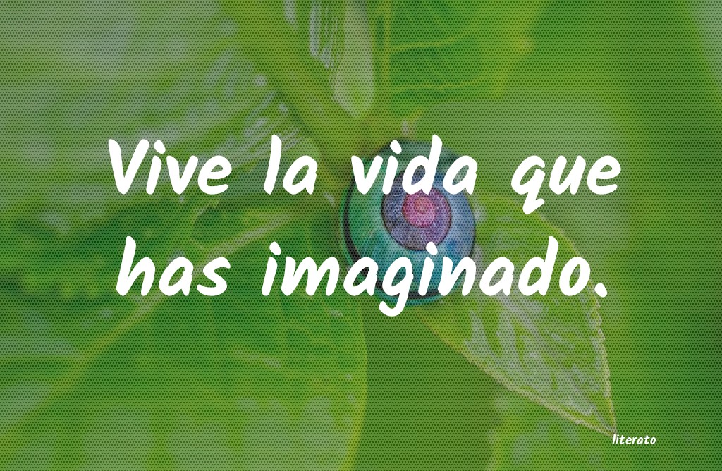 frases