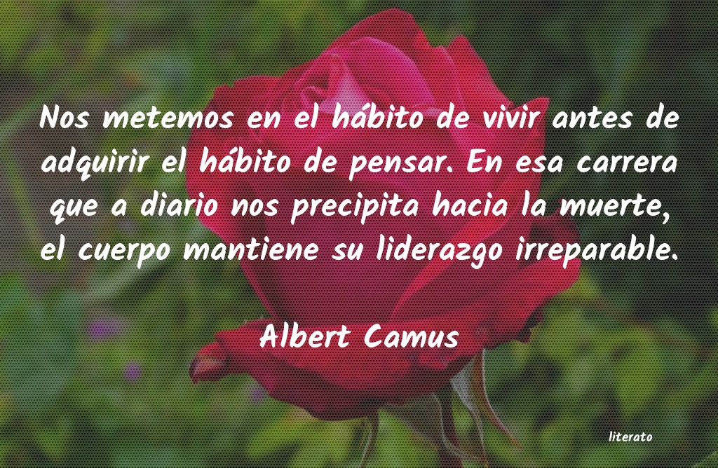 frases de Albert Camus
