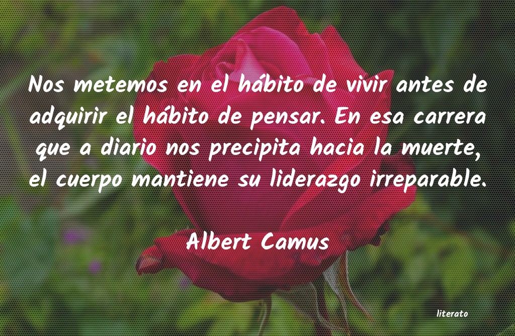 Frases de Albert Camus