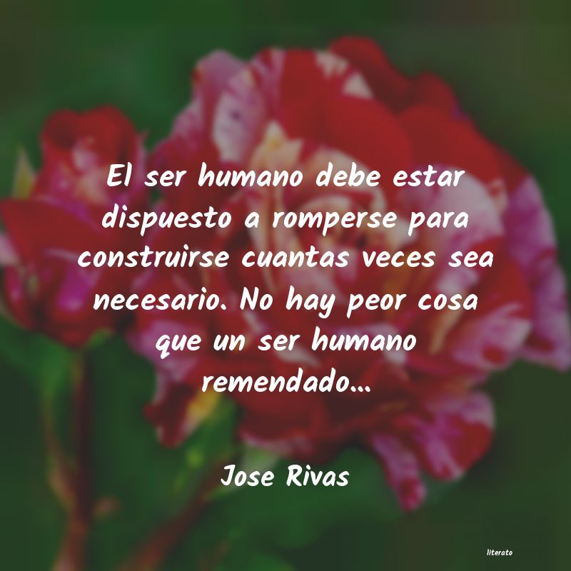 frases de Jose Rivas