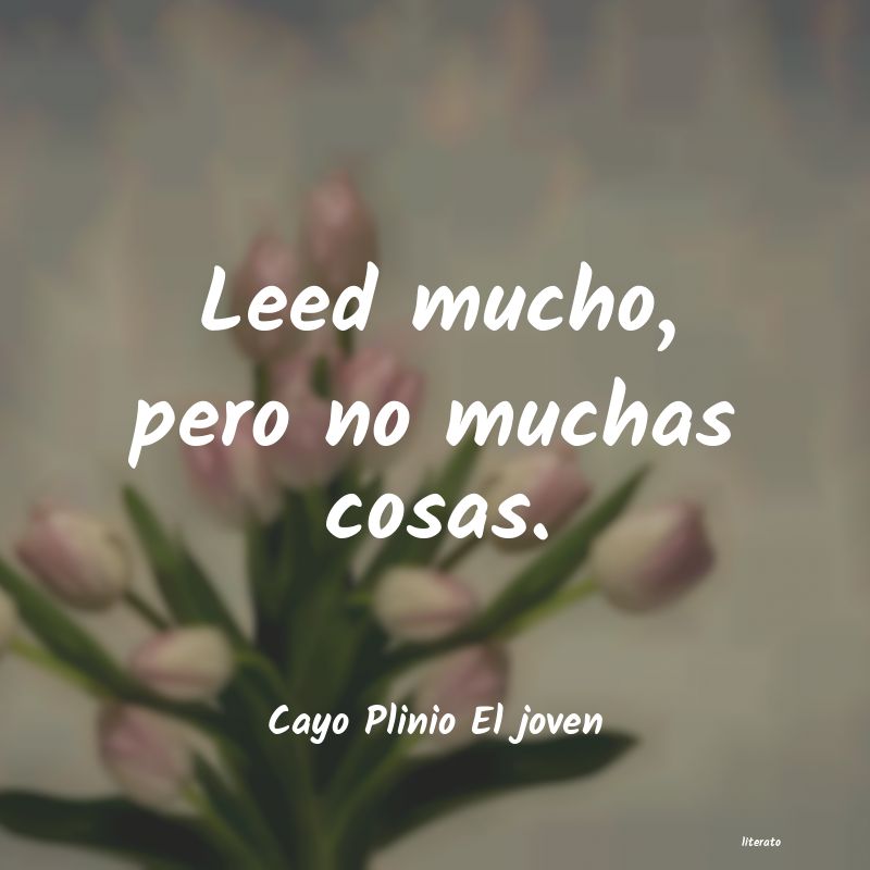 Frases de Cayo Plinio El joven