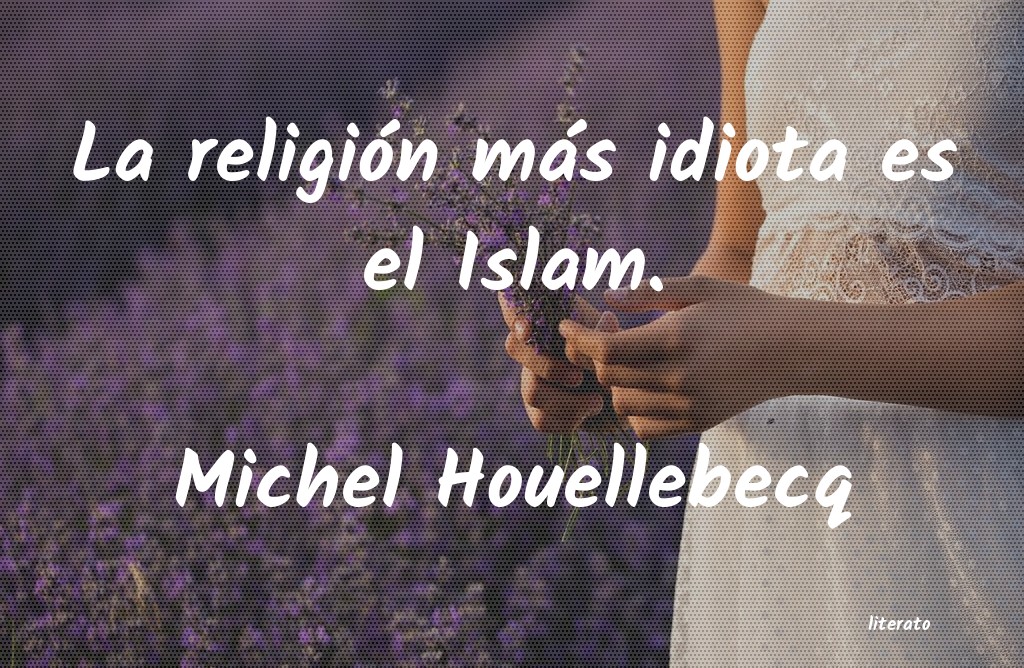 frases de Michel Houellebecq