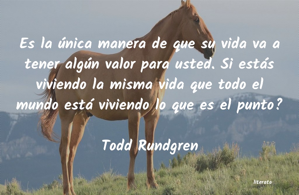 Frases de Todd Rundgren