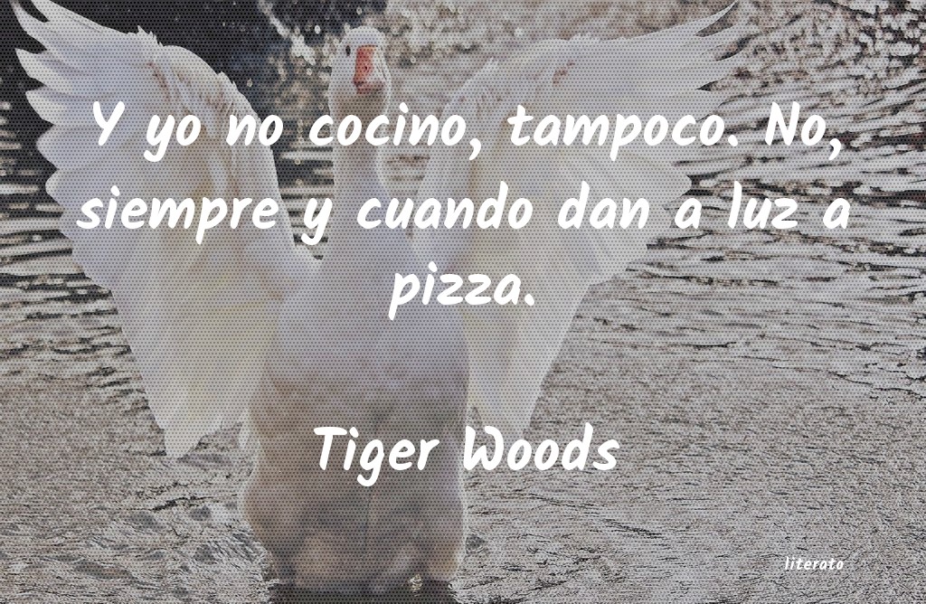 Frases de Tiger Woods