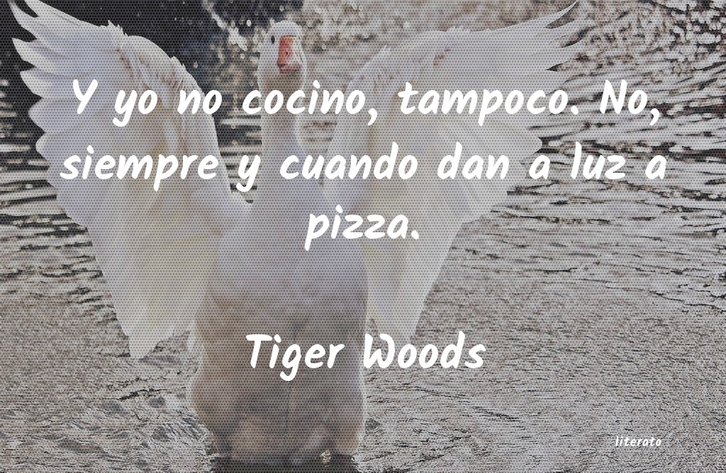frases de Tiger Woods