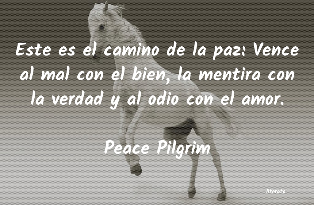 frases de Peace Pilgrim