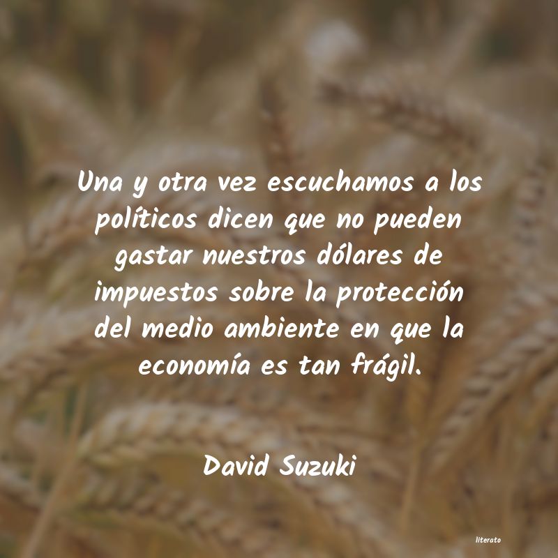 Frases de David Suzuki