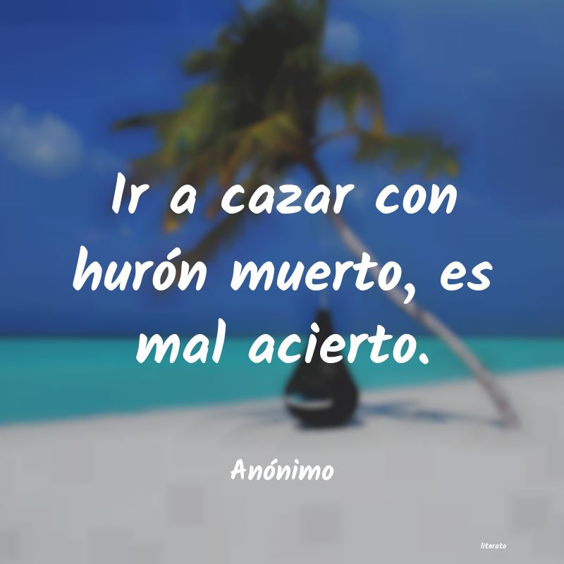 Frases de 