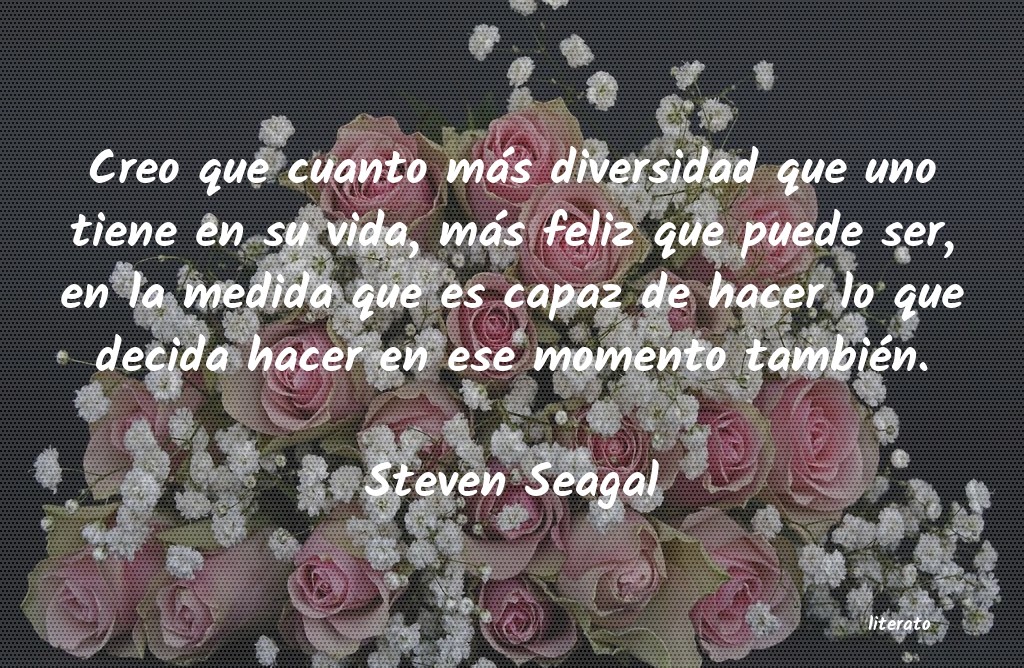 frases de Steven Seagal