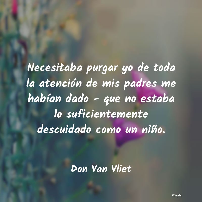 frases de Don Van Vliet