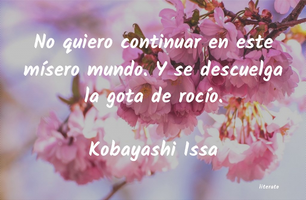 Frases de Kobayashi Issa