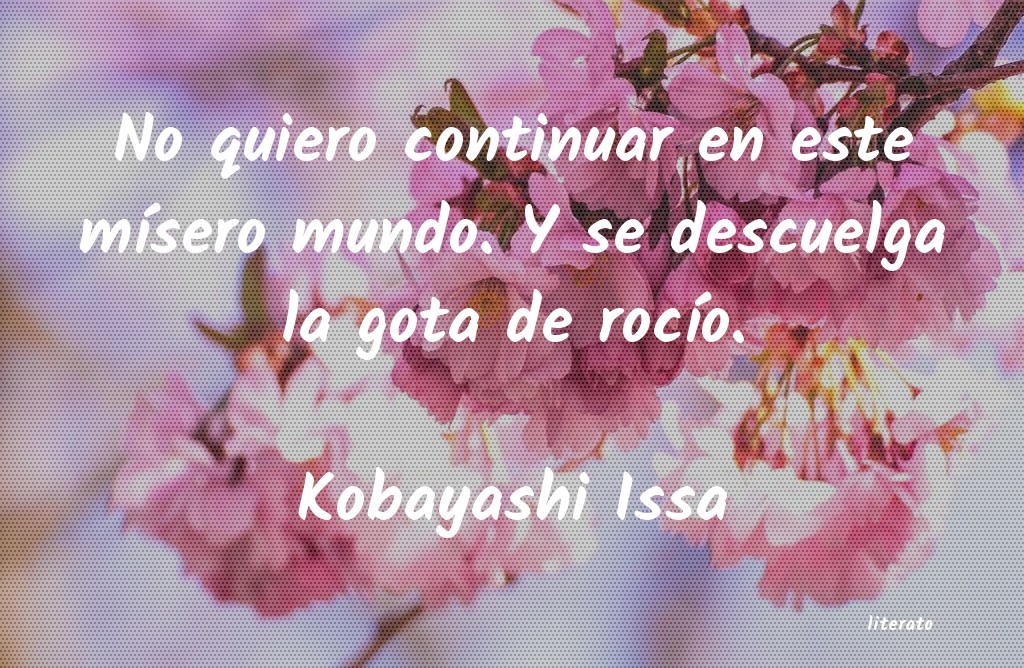 frases de Kobayashi Issa
