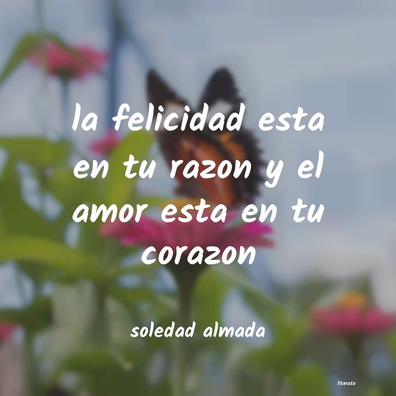 Frases de soledad almada