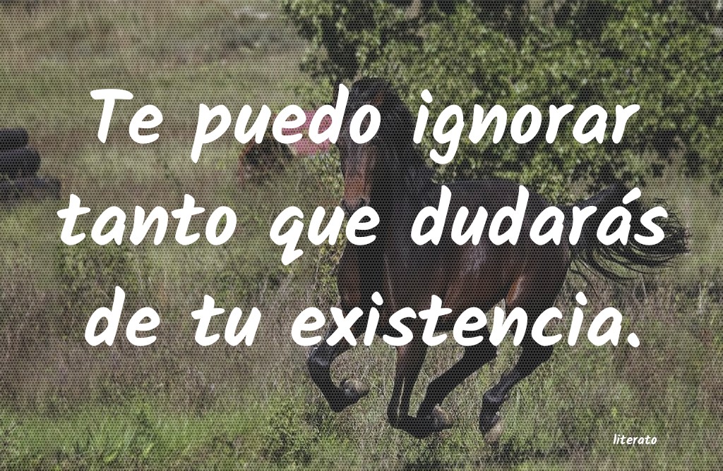 frases