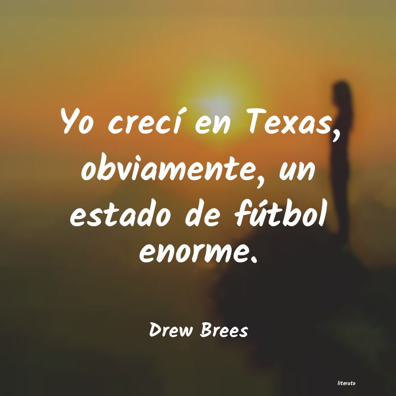 Frases de Drew Brees