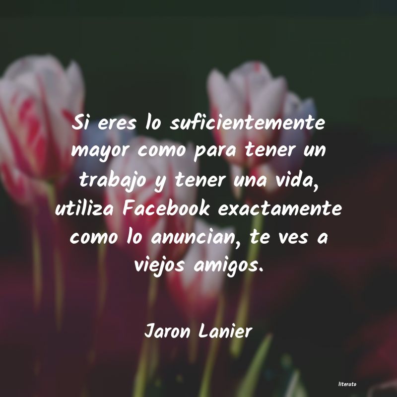 Frases de Jaron Lanier