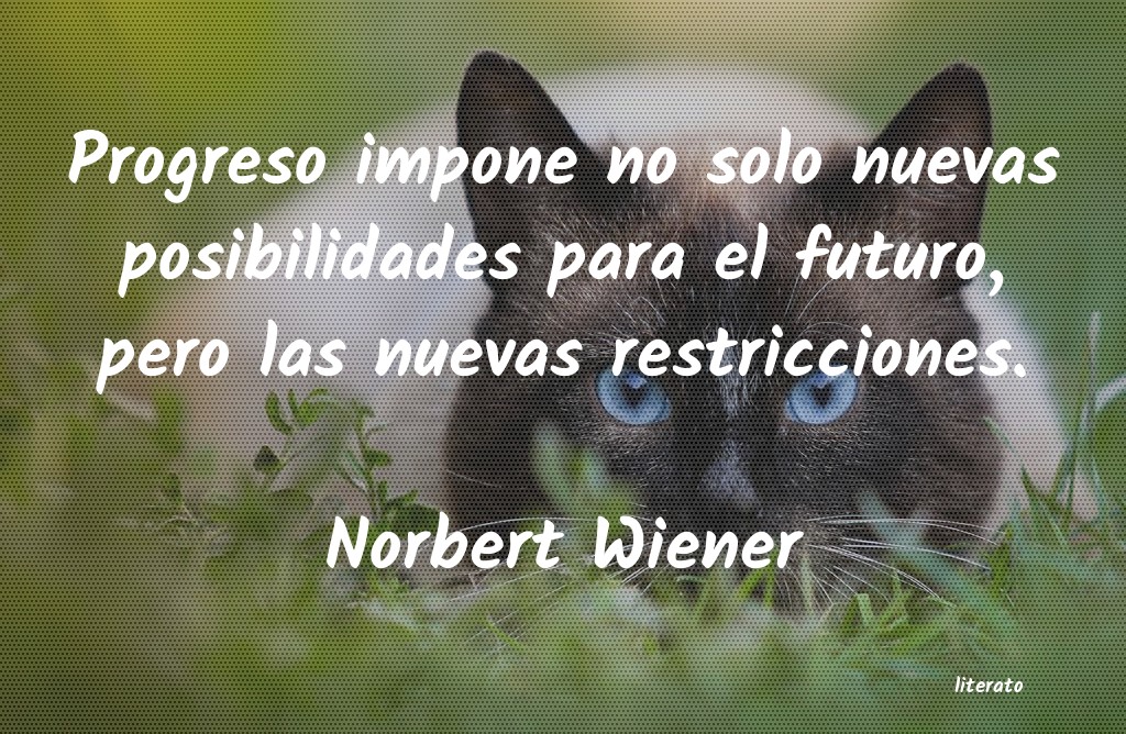 Frases de Norbert Wiener