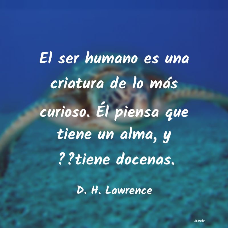 Frases de D. H. Lawrence