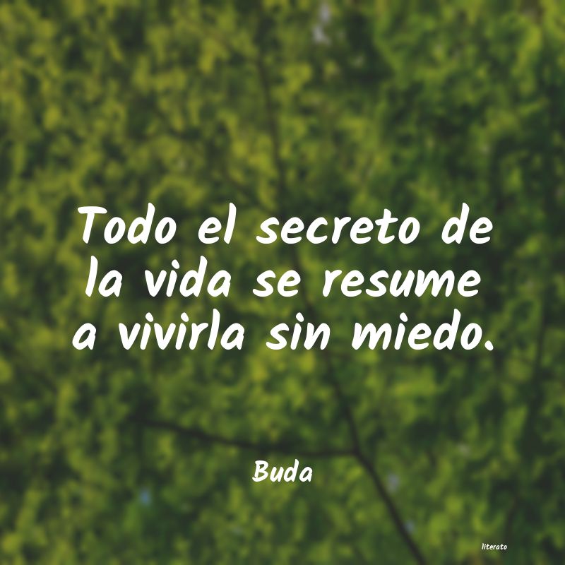 frases budistas