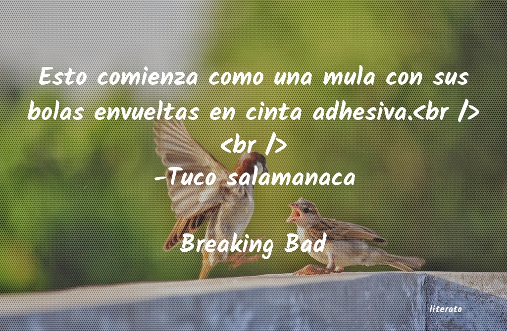 Frases de Breaking Bad