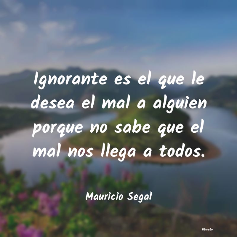 frases de Mauricio Segal