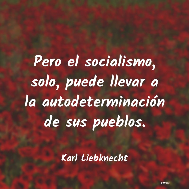 Frases de Karl Liebknecht