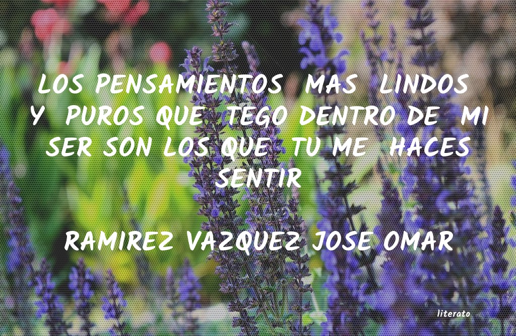 Frases de RAMIREZ VAZQUEZ JOSE OMAR