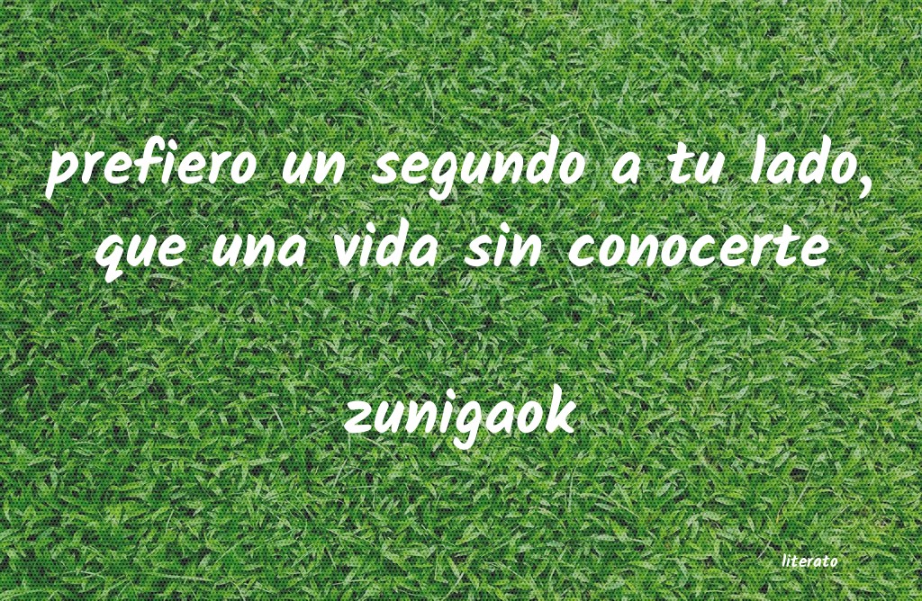 Frases de zunigaok