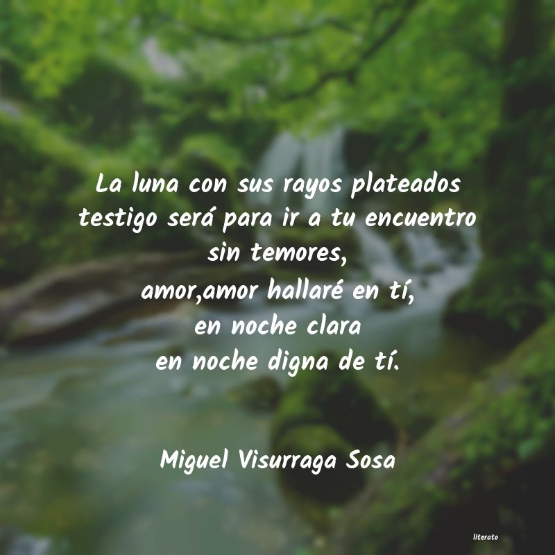 Frases de Miguel Visurraga Sosa