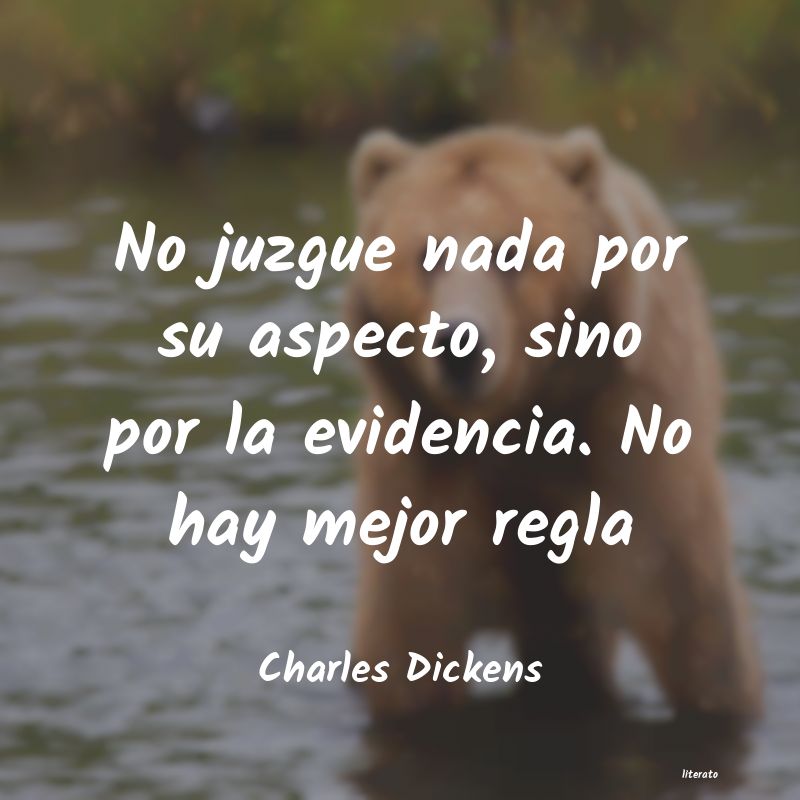 frases de Charles Dickens