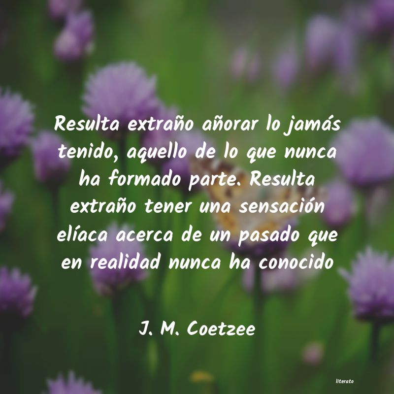 Frases de J. M. Coetzee