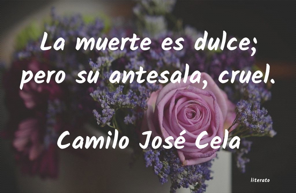 Frases de Camilo José Cela