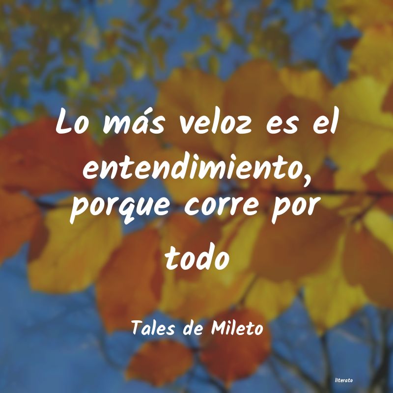 Frases de Tales de Mileto