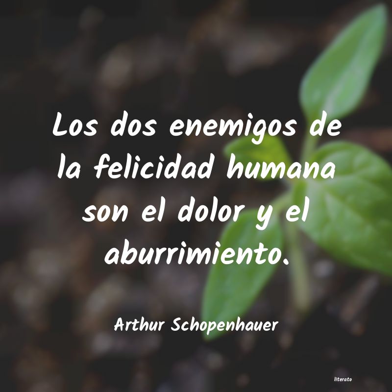 Frases de Arthur Schopenhauer