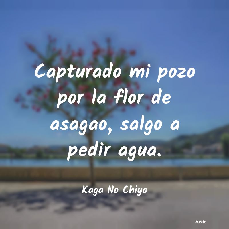 frases de Kaga No Chiyo